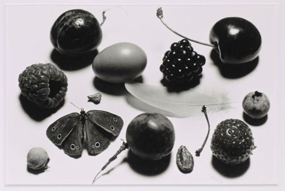 STILL LIFE WITH GRAPE AND MOTH (B), NEW YORK by Irving Penn, 1976