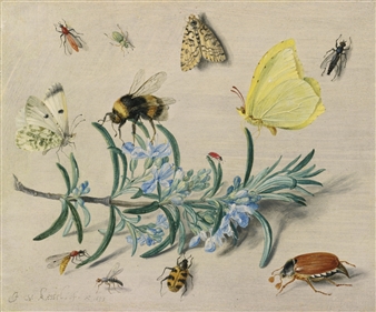 A STILL LIFE STUDY OF INSECTS ON A SPRIG OF ROSEMARY WITH BUTTERFLIES, A BUMBLE BEE, BEETLES AND OTHER INSECTS - Jan van Kessel I