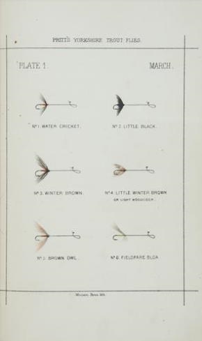 Yorkshire Trout Flies - Thomas Evans