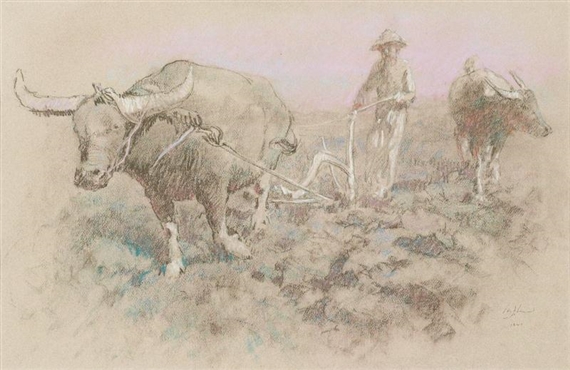 Plowing the Ricefield