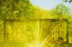 Make It New, Again: Collecting History - Minneapolis Institute of Art