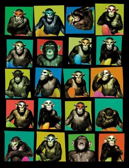 Monkey with Masks, New York City by Albert Watson, 1994; printed 2004