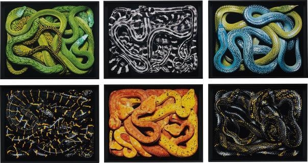 6 Works: Serpens by Guido Mocafico, 2002-2003; printed 2014