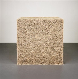 Untitled (Toothpicks) - Tara Donovan