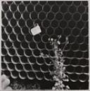 2 Works: Untitled - Jan Hajn