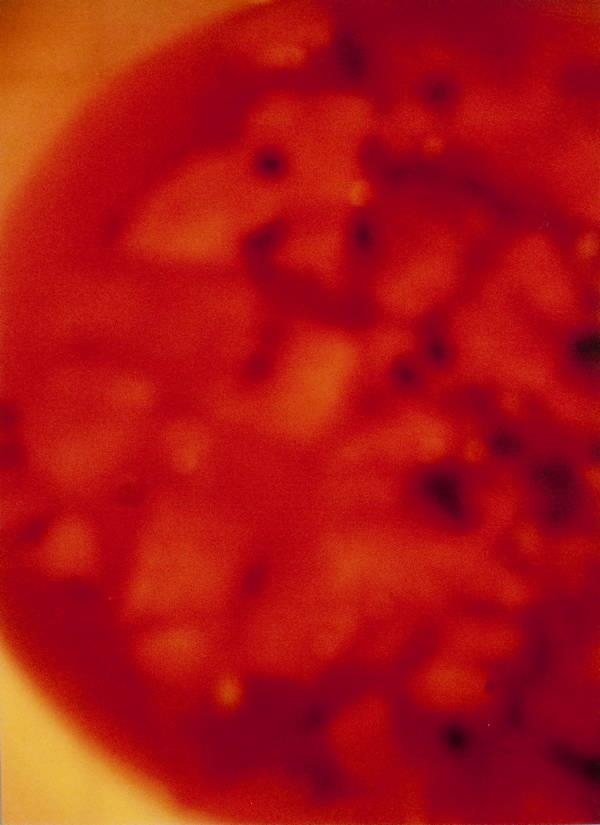 Artwork by Lyle Ashton Harris, Untitled (red Melon), Made of C-print