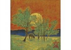 In the sunlight - Kazuhiko Fukuoji