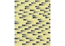 From point No.790265 by Lee Ufan, 1979