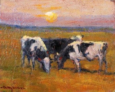 Cattle at Sunset