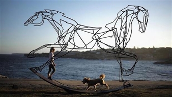 Canberra works in Sculpture by the Sea 2014