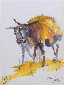 Donkeys - Jenny Jooste
