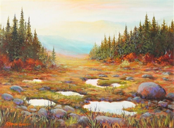 CANYON CAMPGROUND AREA, KANANASKIS by Stephen Hynes