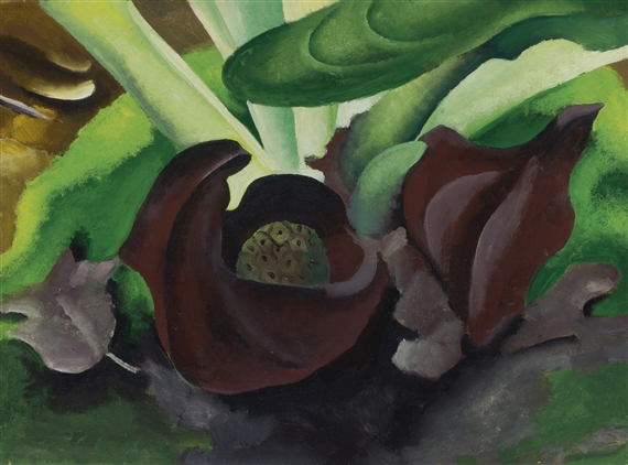 UNTITLED (SKUNK CABBAGE) by Georgia O'Keeffe, circa 1927