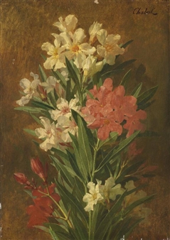 Rot und weiß blühender Oleander - Pierre Adrien Chabal-Dussurgey