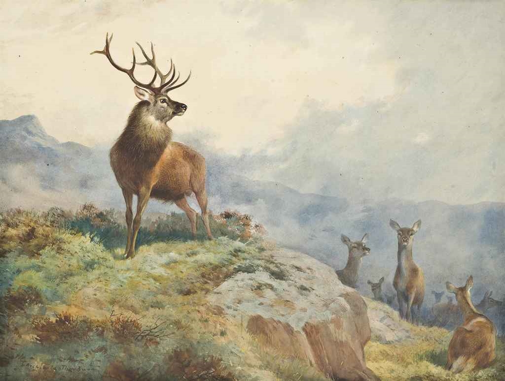 Archibald Thorburn The Monarch of the Glen MutualArt