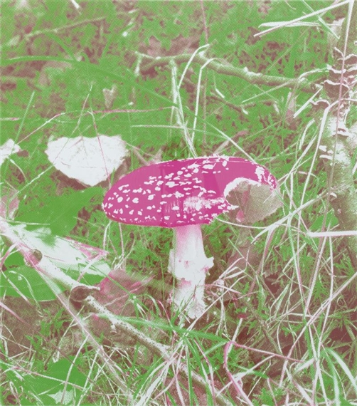 Amanite Fluorescente by Carsten Höller, 2004