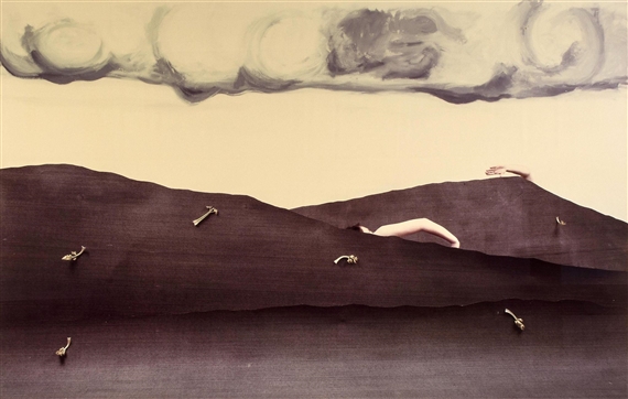 Humbolt II by Boyd Webb, 1981