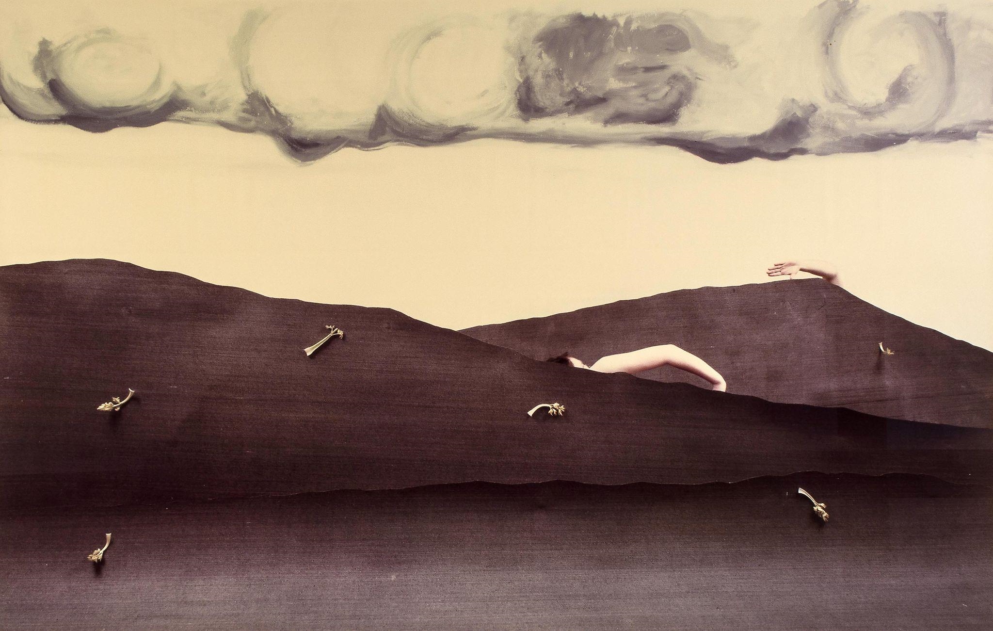 Artwork by Boyd Webb, Humbolt II, Made of unique c-type print