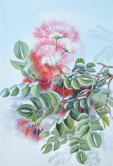 Australian Native Flower by Marian Ellis Rowan