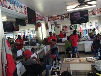 Beauty Salons and the Beast - apexart