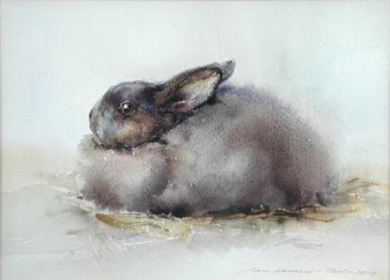Ian Armour-Chelu | Study of a Netherland Dwarf Rabbit (1979) | MutualArt