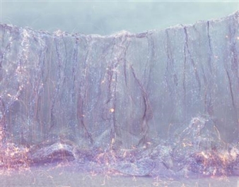 Chinese Contemporary Photography - Danysz Gallery, Paris