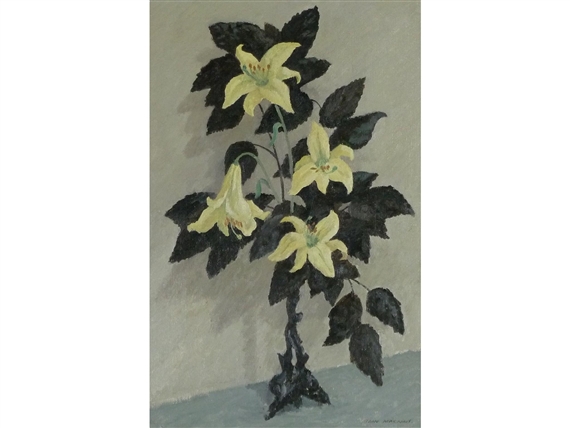 Flowering Plant by Iain MacNab