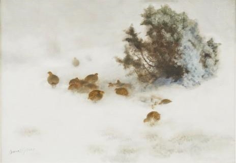 Rapphöns i vinterlandskap