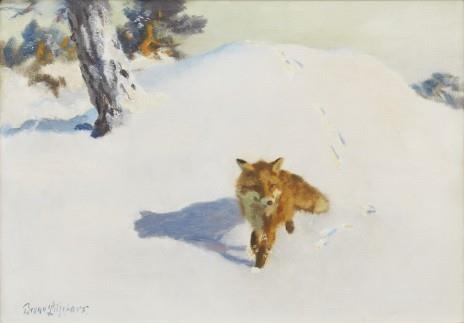 Räv i vinterlandskap