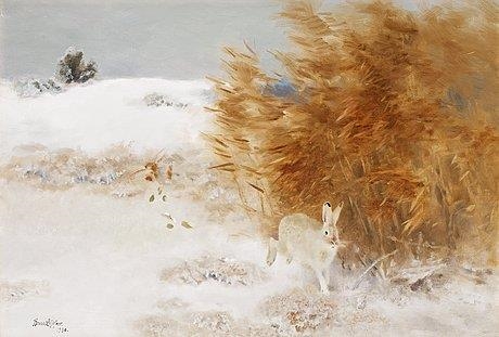Hare in winter landscape