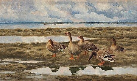 Landscape with geese