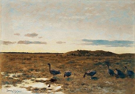 Geese at Dawn