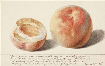 Two peaches - Jan Adriaan Antonie de Lelie