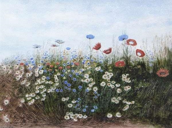 A Bank of Wild Flowers - Daisies and Poppies by Andrew Nicholl