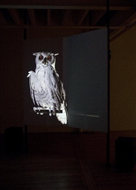 Ann Lislegaard Presents Three Intriguing Pieces