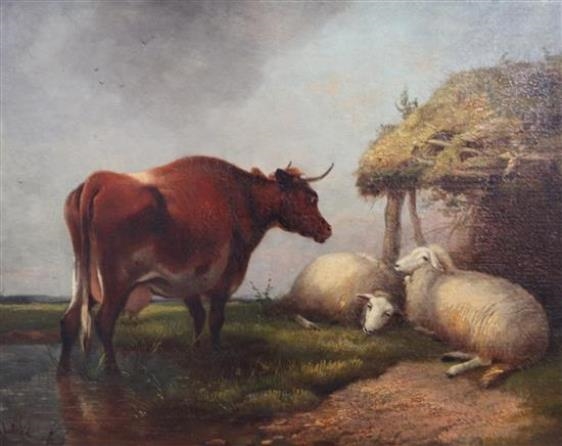 Cow and sheep beside a river by Paulus Potter