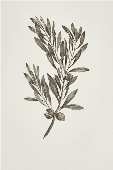 Joseph Banks | Performance at Auction | MutualArt
