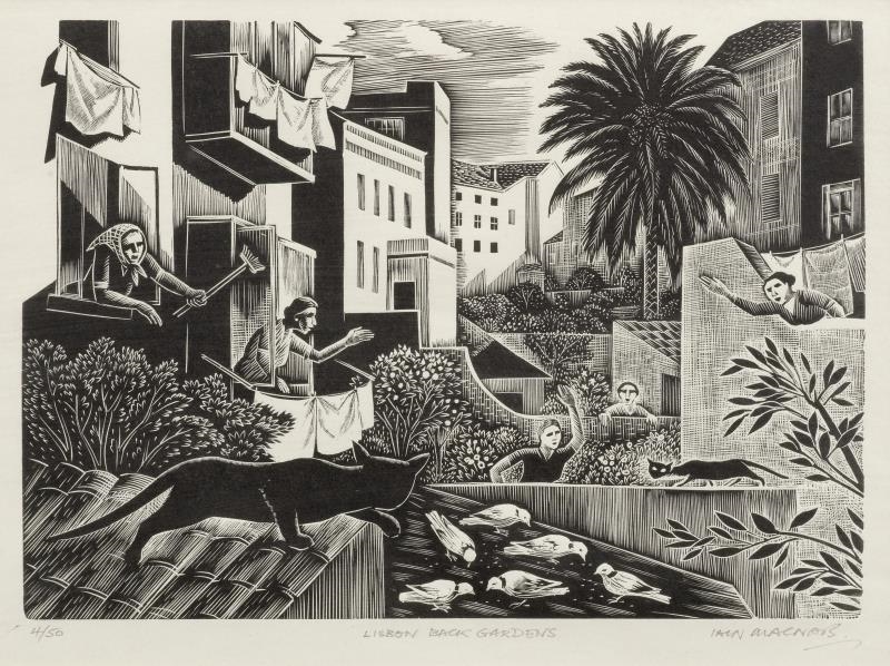 Artwork by Iain MacNab, Back Gardens, Lisbon, Made of Wood engraving
