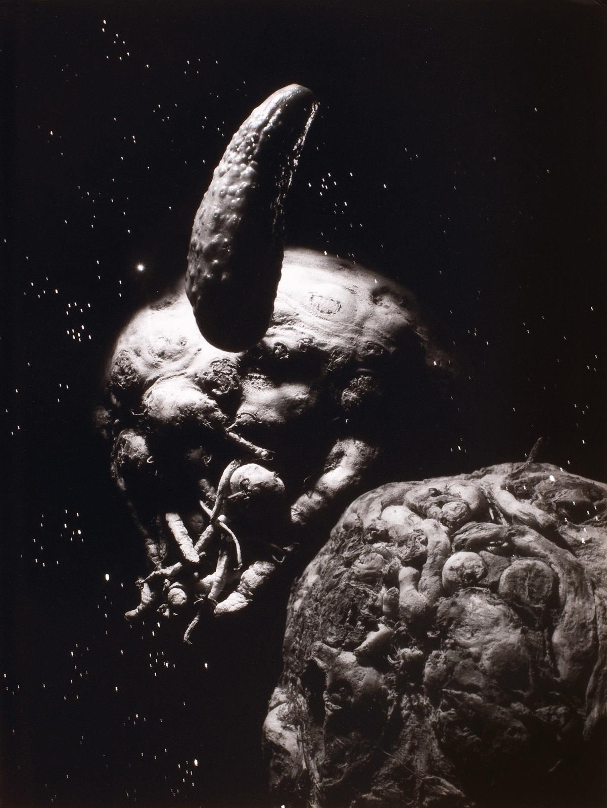 Artwork by Jiří Stach, Kvasary, Made of vintage gelatin silver print