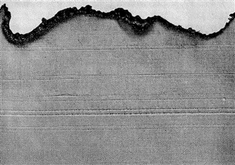 Seven Reeds - Overduin & Co. Los Angeles