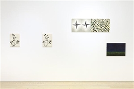 Mitsuko Miwa “Imaginary Number” at Longhouse Projects, New York