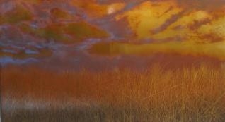 3 Works: Dream Field V; Dream Field VIII; Mariner I