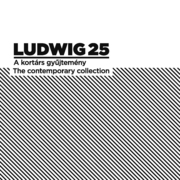 LUDWIG 25 The Contemporary Collection - Ludwig Museum of Contemporary Art