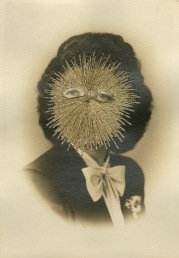 Cracker - The Cat Street Gallery