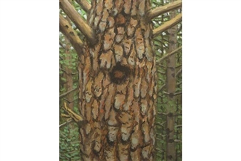 Tibor de Nagy Gallery celebrates Rudy Burckhardt's centenary with survey exhibition