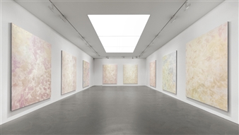 Stephane Kropf: Omna Volvit - Andrea Caratsch Gallery, Zurich  