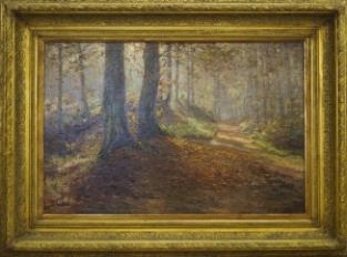 Woodland scene - Paul Dillens