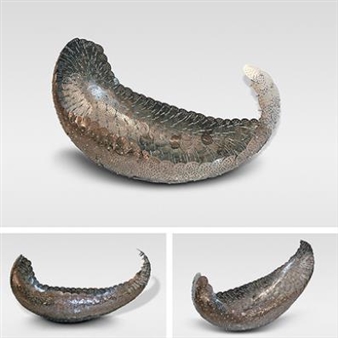 Open Confinement - Adeela Suleman