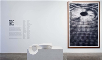 Impulse, Reason, Sense, Conflict. - Cisneros Fontanals Art Foundation (CIFO)