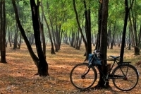 48th Annual Exhibition 2015 - Birla Academy of Art & Culture